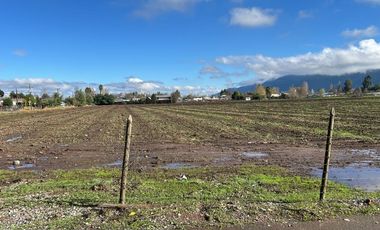 NANCAGUA