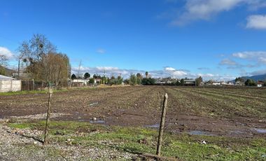 NANCAGUA