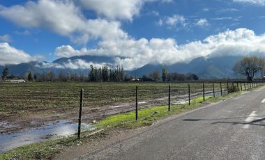 NANCAGUA