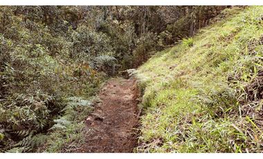 Lote Parcelacion El Retiro Bosque y Quebrada