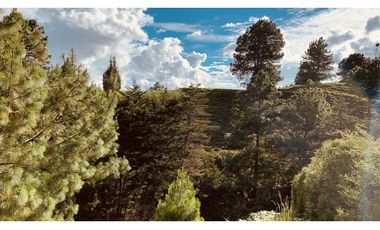 Lote Parcelacion El Retiro Bosque y Quebrada