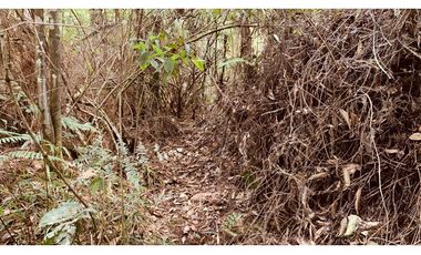 Lote Parcelacion El Retiro Bosque y Quebrada