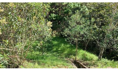 Lote Parcelacion El Retiro Bosque y Quebrada