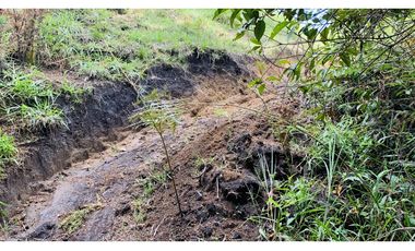 Lote Parcelacion El Retiro Bosque y Quebrada