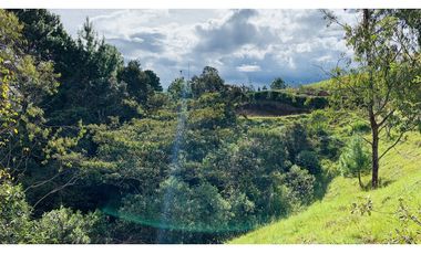 Lote Parcelacion El Retiro Bosque y Quebrada