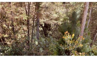 Lote Parcelacion El Retiro Bosque y Quebrada