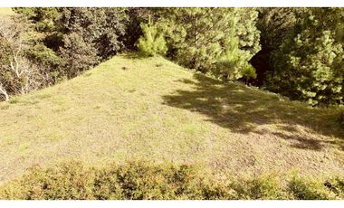 Lote Parcelacion El Retiro Bosque y Quebrada