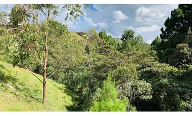 Lote Parcelacion El Retiro Bosque y Quebrada