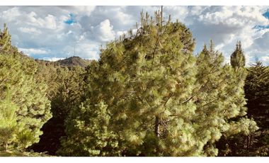 Lote Parcelacion El Retiro Bosque y Quebrada