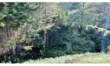 Lote Parcelacion El Retiro Bosque y Quebrada