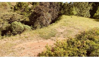 Lote Parcelacion El Retiro Bosque y Quebrada