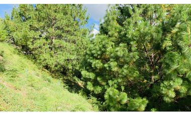 Lote Parcelacion El Retiro Bosque y Quebrada