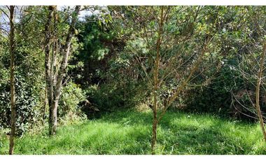 Lote Parcelacion El Retiro Bosque y Quebrada