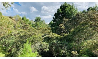 Lote Parcelacion El Retiro Bosque y Quebrada