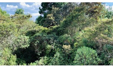 Lote Parcelacion El Retiro Bosque y Quebrada