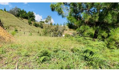 Lote Parcelacion El Retiro Bosque y Quebrada