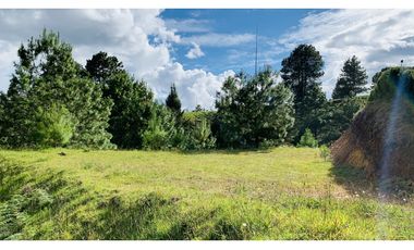 Lote Parcelacion El Retiro Bosque y Quebrada