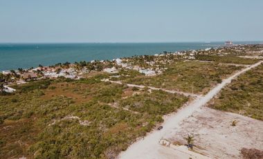 Terreno en venta en la playa Chelem