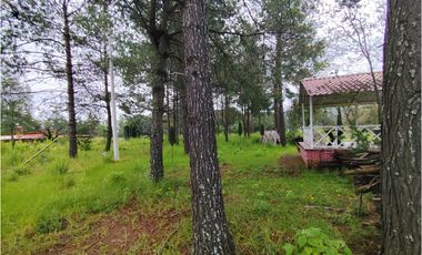 Se vende rancho en Bermudez, entrada a Huasca, hidalgo.