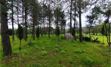 Se vende rancho en Bermudez, entrada a Huasca, hidalgo.
