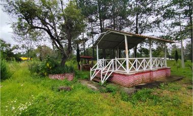 Se vende rancho en Bermudez, entrada a Huasca, hidalgo.