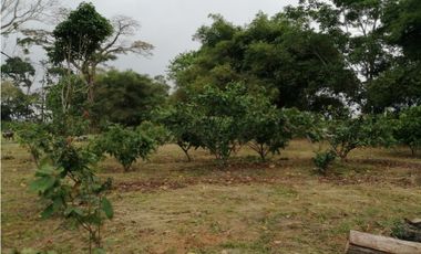 Finca Productora de Cacao de 6 Hect en Venta o Permuta en Guamal Meta
