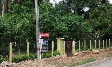 Finca Productora de Cacao de 6 Hect en Venta o Permuta en Guamal Meta