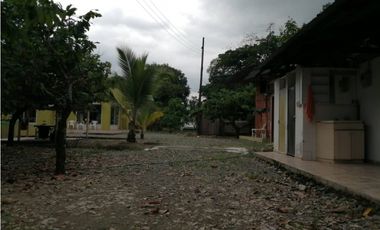 Finca Productora de Cacao de 6 Hect en Venta o Permuta en Guamal Meta
