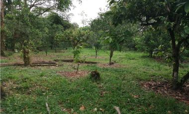Finca Productora de Cacao de 6 Hect en Venta o Permuta en Guamal Meta