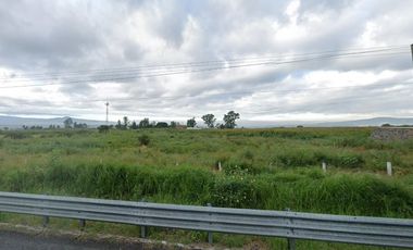 Terreno en Venta en Carr Zapotlanejo - Francisco Alvizo