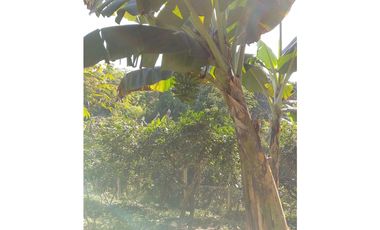 Casa para la venta en arabia, Pereira!!!