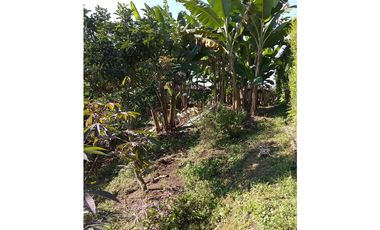 Casa para la venta en arabia, Pereira!!!