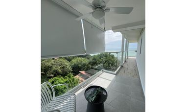Oceanfront Apartment Rental on El Palmar Beach, San Carlos