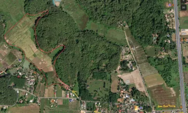 Land for sale in Tha Sut, Chiang Rai
