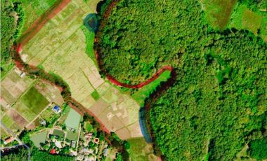 Land for sale in Tha Sut, Chiang Rai