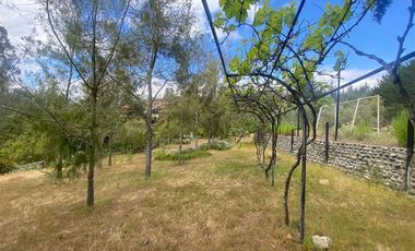 Parcela en Venta en Alcazar de Torres / VEGETACION