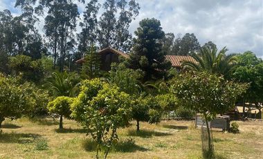 Parcela en Venta en Alcazar de Torres / VEGETACION