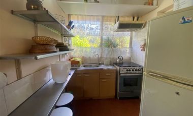 Parcela en Venta en Alcazar de Torres / VEGETACION