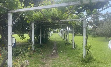 Agrícola en Venta en Ruta G 46 / Las Tortolas