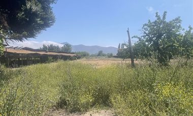 Agrícola en Venta en Ruta G 46 / Las Tortolas
