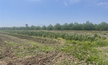 Agrícola en Venta en Ruta G 46 / Las Tortolas