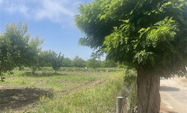 Agrícola en Venta en Ruta G 46 / Las Tortolas