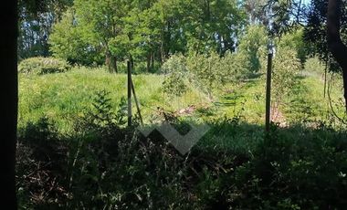 Agrícola en Venta en Camino La Palmilla, Cruce Casa Blanca Norte