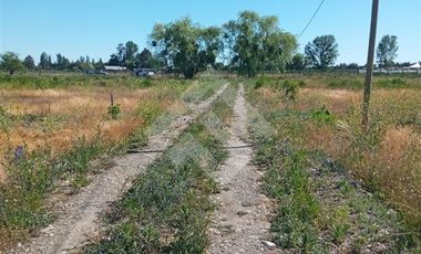 Agrícola en Venta en Camino La Palmilla, Cruce Casa Blanca Norte