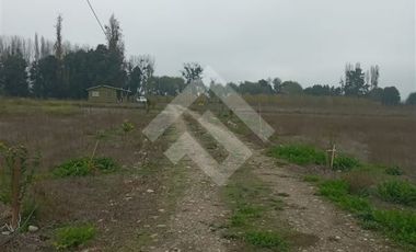Agrícola en Venta en Camino La Palmilla, Cruce Casa Blanca Norte