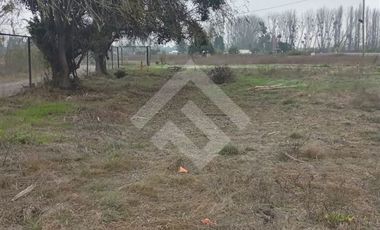 Agrícola en Venta en Camino La Palmilla, Cruce Casa Blanca Norte