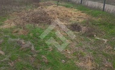 Agrícola en Venta en Camino La Palmilla, Cruce Casa Blanca Norte