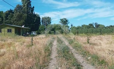 Agrícola en Venta en Camino La Palmilla, Cruce Casa Blanca Norte