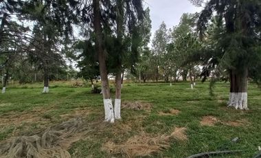 Casa en Renta Cercana a salida a Salamanca, Tarimbaro