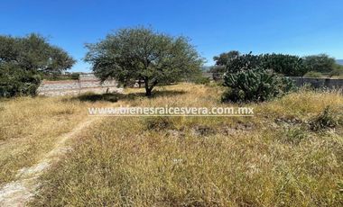 TERRENO EN VENTA EN BORDO BLANCO TEQUISQUIAPAN. Nene